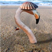 Stuck in the sand — ThatGuy3