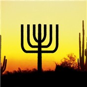 Cactus Menorah — WhisperingSage