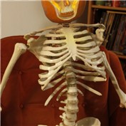 Pumpkin Head — Tyeise