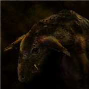 Dragonors — figoz