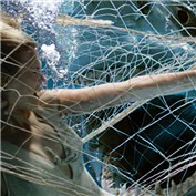 Terror — natblonde17