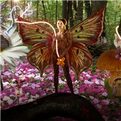 Fairies In Love — Butt3rfly