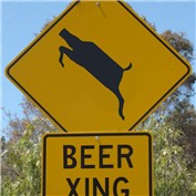 beer crossing — Ocean5124