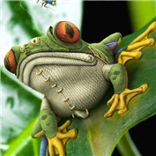Chop A Frog 5