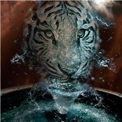 Water Tiger — DragonTat7