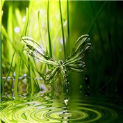 Alternate Materials: Water 3