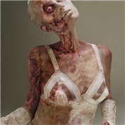 Zombiewood 13