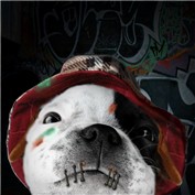 Wasn't Me!!!! — christine09