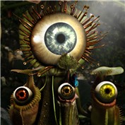 Them There Eyes 2