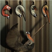 Getting Ahead: Animal Edition