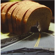 100% Wholewheat Highway — Penguuuu