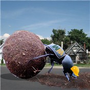 Waste Management — Joesphs89