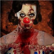Katy clown — Pherdinandus