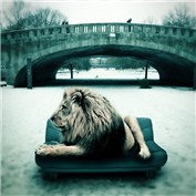 Winter Lion of Berlin — chanmart