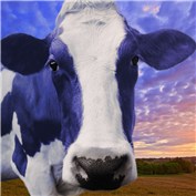 Blue Moooon — katyholb