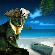Koala Pirate — Daniel14dias