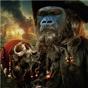 The Gorilla Beard Fire — amandaabrao