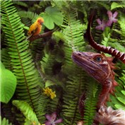 Dragons 4