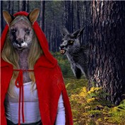 Red Kangaroo Hood — ivanildo