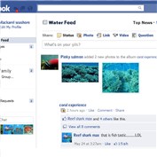 fishbook — gioluckyboy