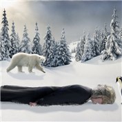 Meme Bandwagon: Planking
