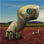 Giant Tortoise — dractilo