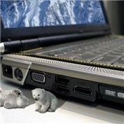 Tiny Polar Bear Cubs by Computer — AlienElmo