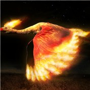 Moltres (Pokemon) — sergiocacto