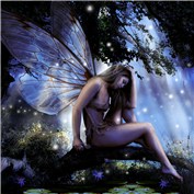 Faeries 3