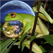 eat the earth — GALBENUSH