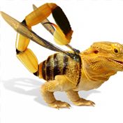 Chimaera 3