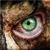 Stitched Up 6