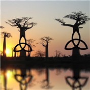 Celtic Silhouette — LadyHawk771