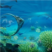 Exploring the oceans — PyramidHill