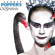 Mr. Popper`s Black Swans — hoosier64