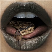 Slithering — Kryptomaniacle