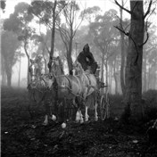 The Carriage — amivox
