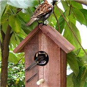 Snack Time — LadyHawk771