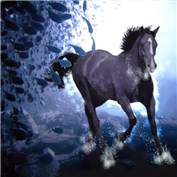 Sea Horse — kathiess