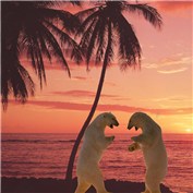 vacation polarbears — creeps99