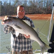 Two Headed Fish — Pumkin