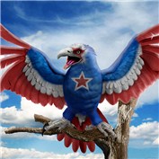 Nationalism 9
