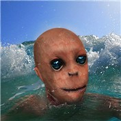 water world — treexie