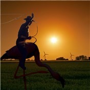 Cowboy Flamingo — jercovable