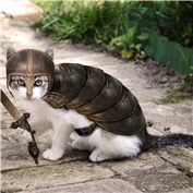 Cute but deadly — oana73