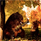 The bears — BrunoSousa