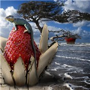 Lizard — vilegye