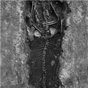 Archaeological Anomalies 12