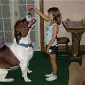 Big Dog — dwood58
