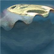 island shell — RRoland